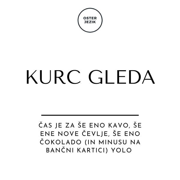 Magnet "KURC GLEDA"