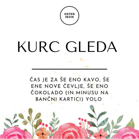 Magnet "KURC GLEDA"