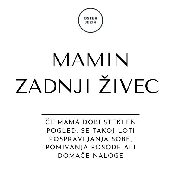 Magnet "MAMIN ZADNJI ŽIVEC"